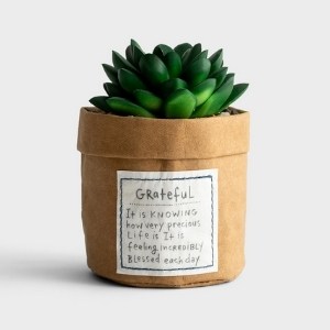 faux succulent plant as a game prize idea for adults
